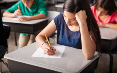 Prueba de Suficiencia Académica 2025